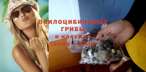 эйфоретик Богородицк