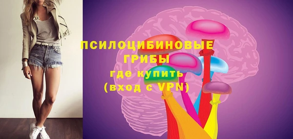 эйфоретик Богородицк