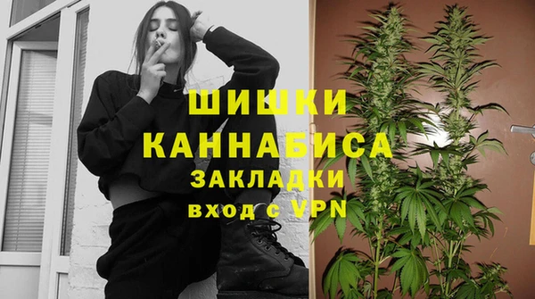 эйфоретик Богданович