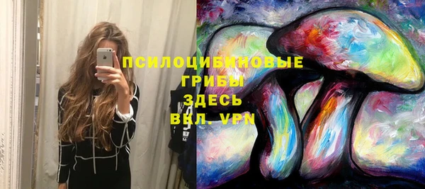 эйфоретик Богородск
