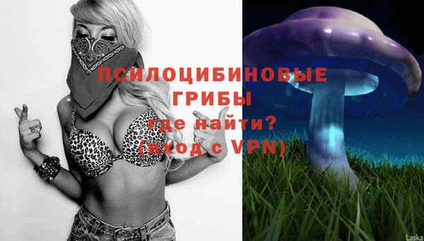 эйфоретик Богородск