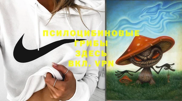 эйфоретик Богданович